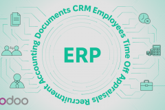 Odoo Development and Processes Digitalisation